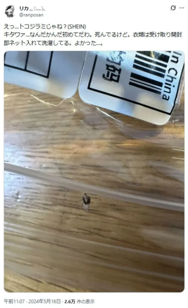 SHEINの日本での害虫混入事例